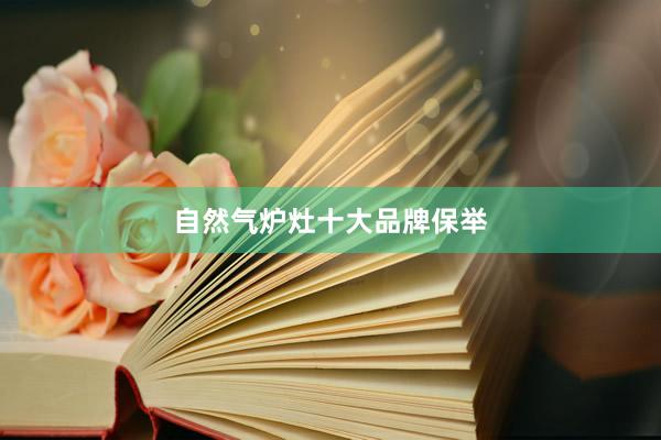 自然气炉灶十大品牌保举
