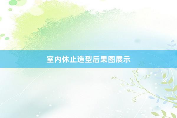 室内休止造型后果图展示