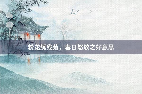 粉花绣线菊，春日怒放之好意思
