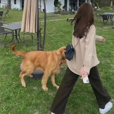狄仁杰之鬼影血手